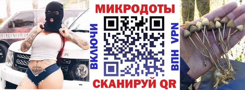 Псилоцибиновые грибы MAGIC MUSHROOMS  Волосово 